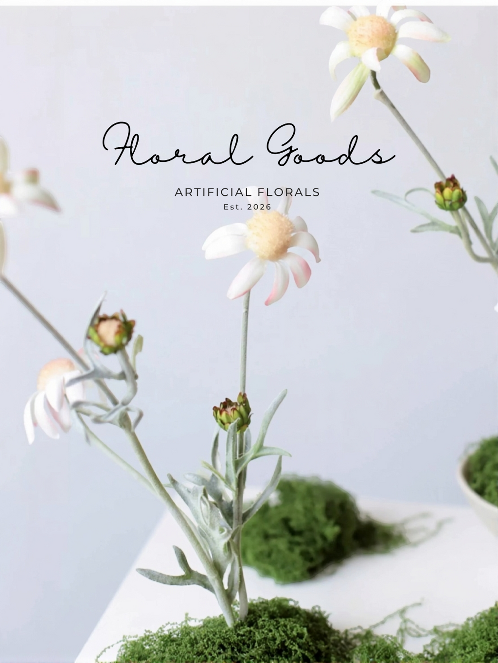 Blush Flannel Flower Spray – 32.3"