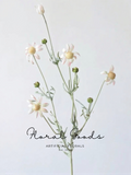 Blush Flannel Flower Spray – 32.3"
