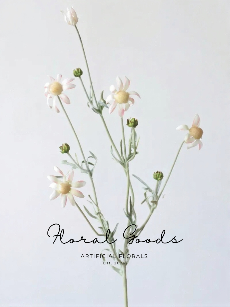 Blush Flannel Flower Spray – 32.3"
