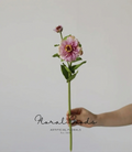 Blush Zinnia Spray – 29.1"
