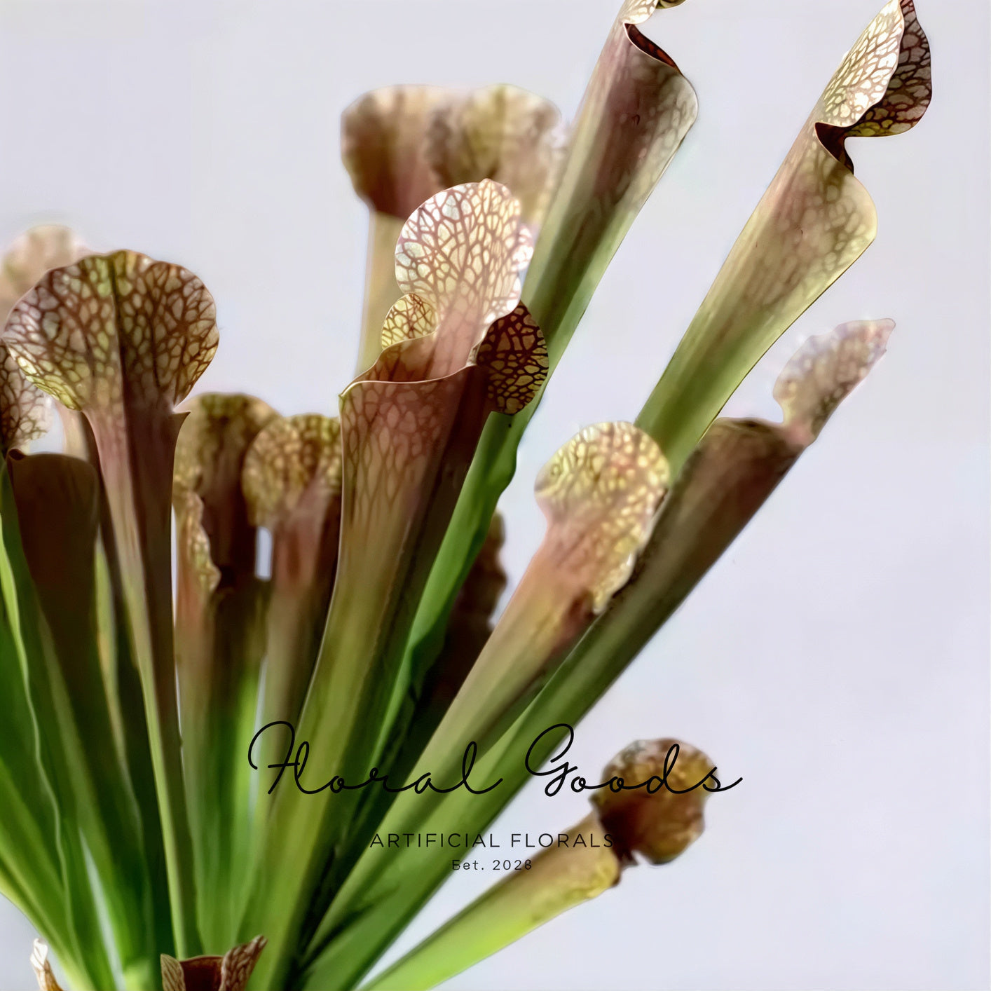 Botanical Pitcher Plant Stem – 17.7"