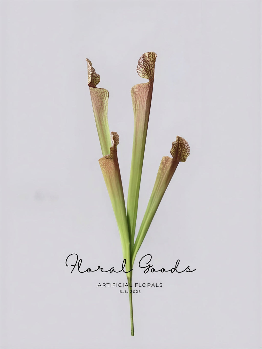 Botanical Pitcher Plant Stem – 17.7"