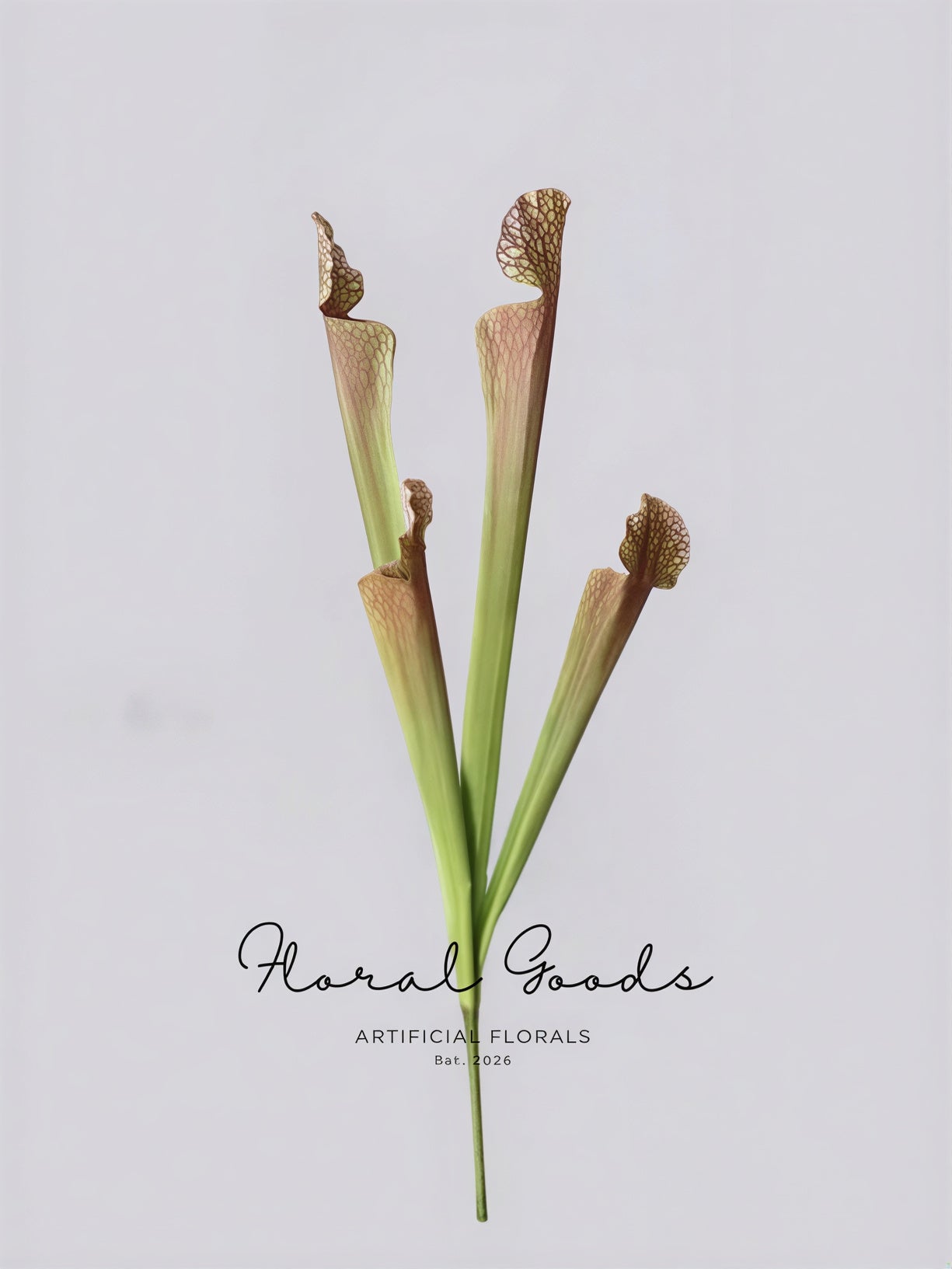 Botanical Pitcher Plant Stem – 17.7"