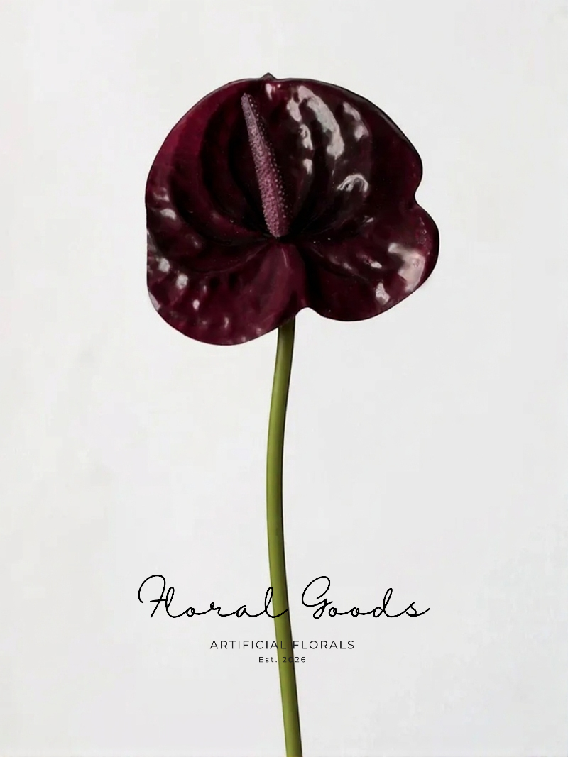 Burgundy Anthurium Stem – 21"