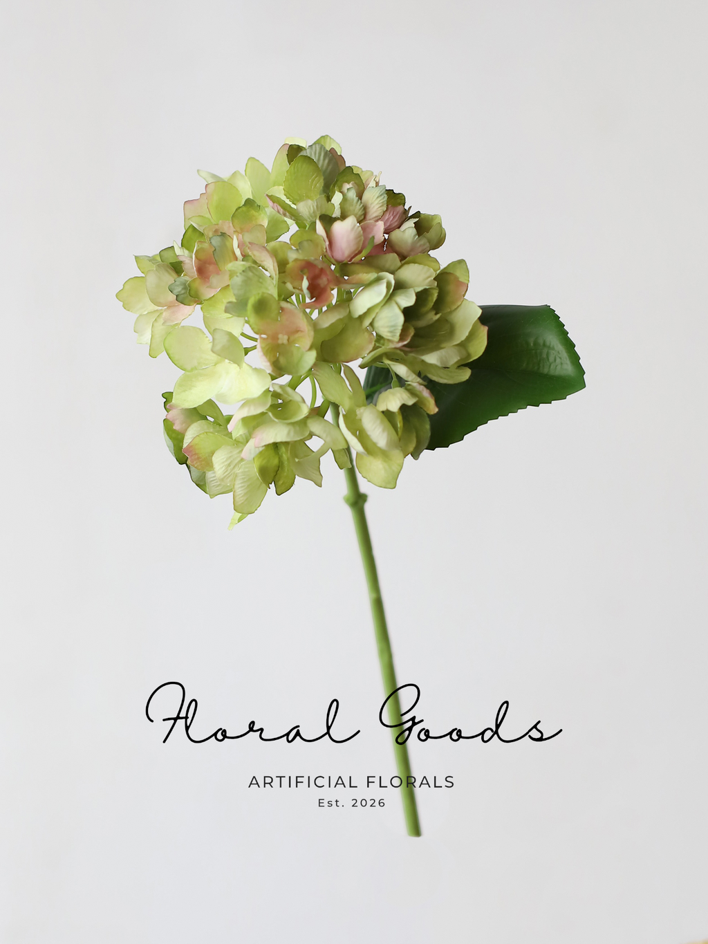 Charlotte Hydrangea Stem - 14"