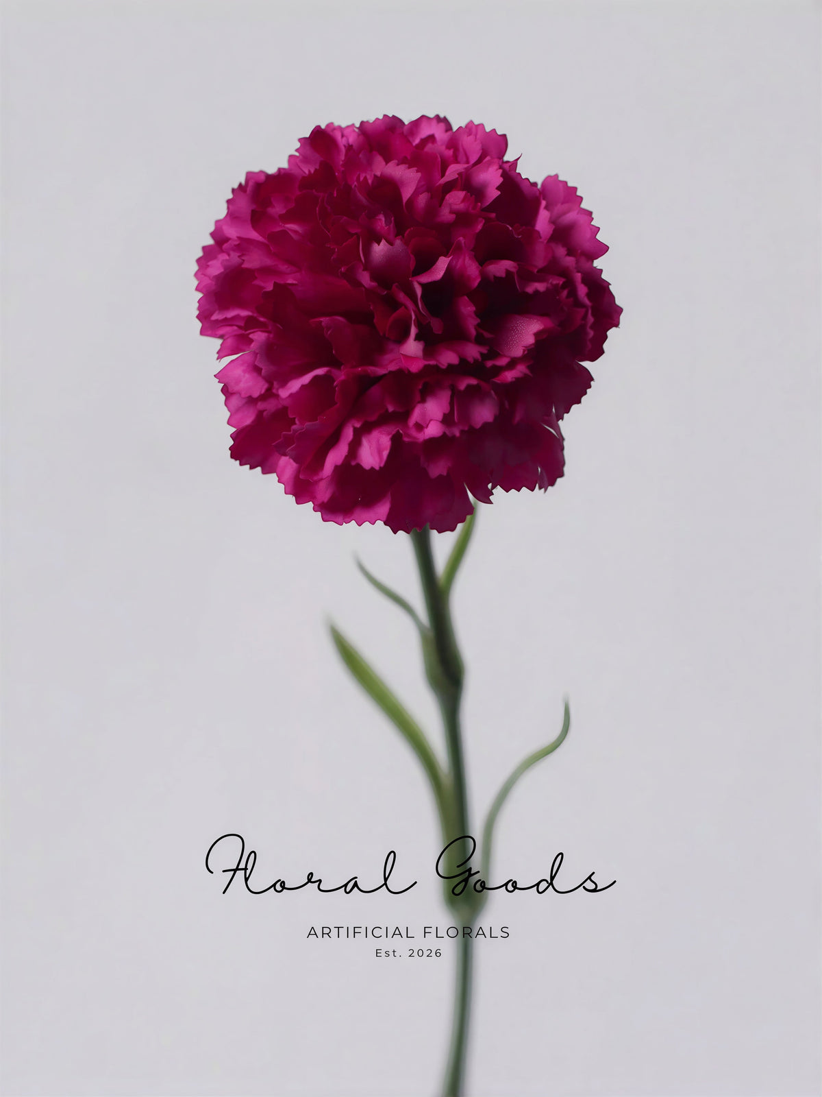 Classic Carnation Stem – 20"