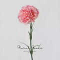 Classic Carnation Stem – 20"