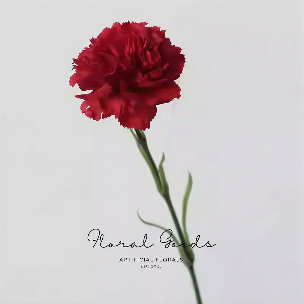 Classic Carnation Stem – 20"