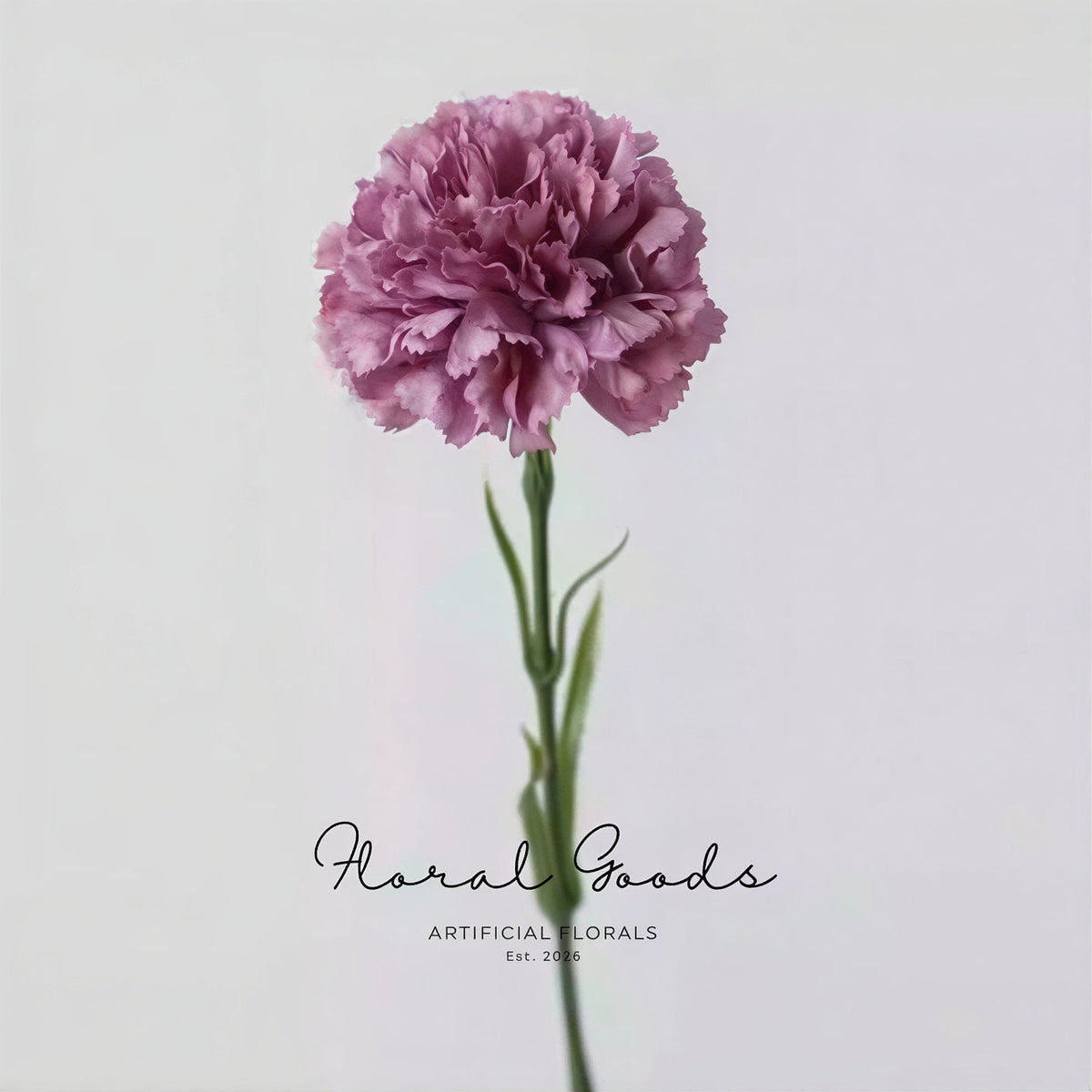 Classic Carnation Stem – 20"