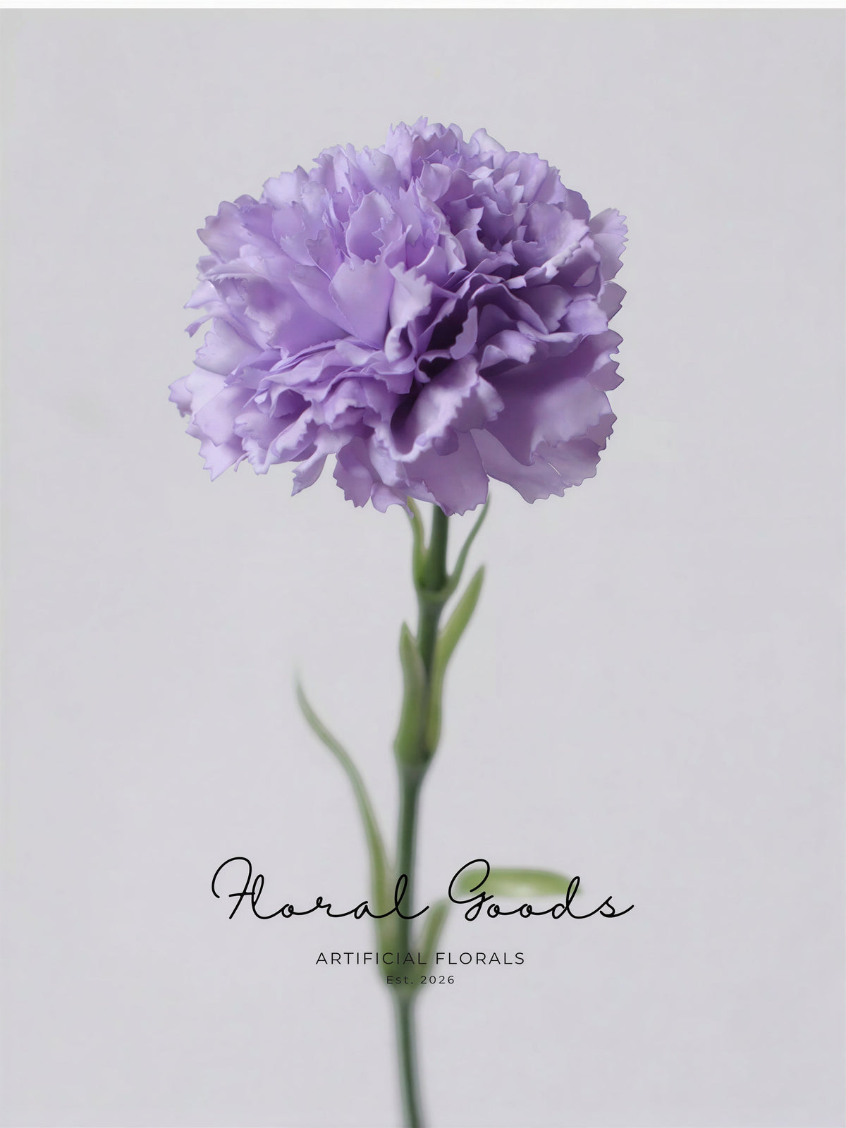 Classic Carnation Stem – 20"
