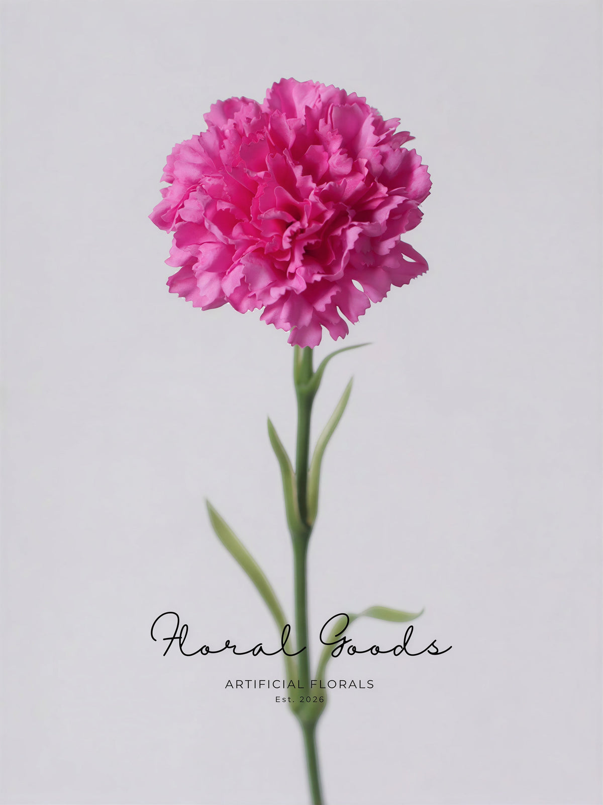 Classic Carnation Stem – 20"
