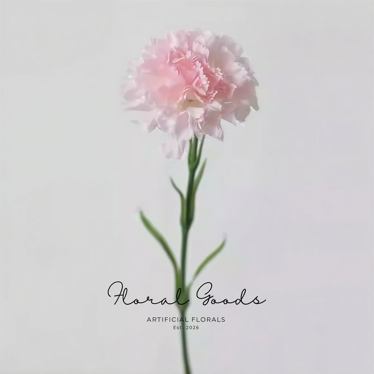 Classic Carnation Stem – 20"