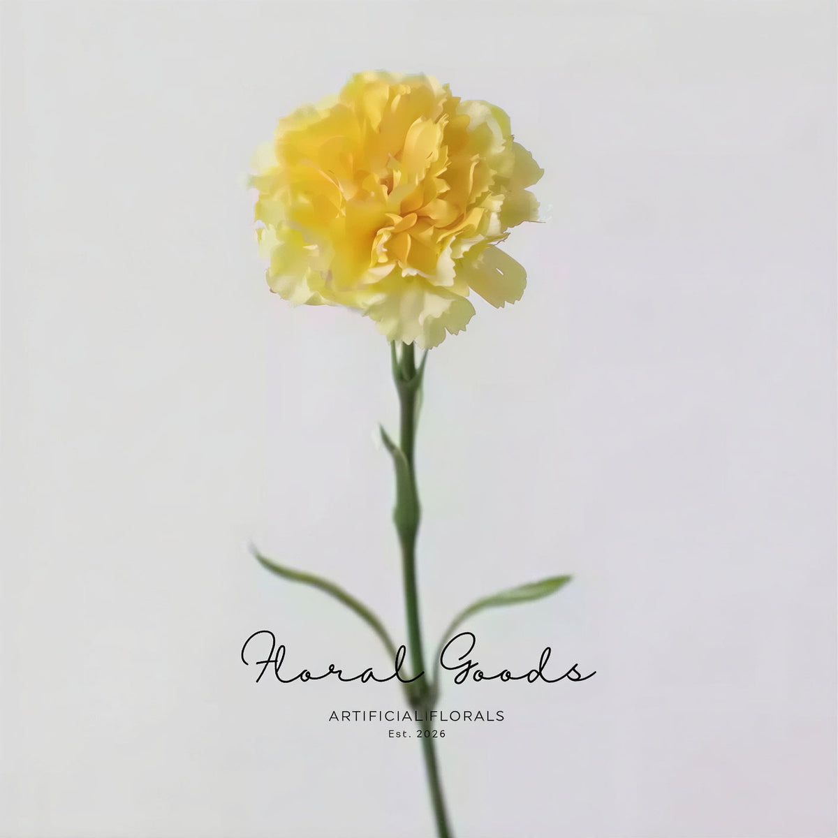 Classic Carnation Stem – 20"