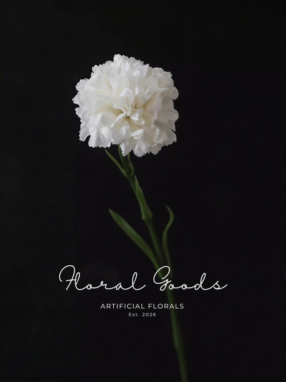 Classic Carnation Stem – 20"