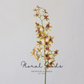 Dancing Orchid Spray Stem