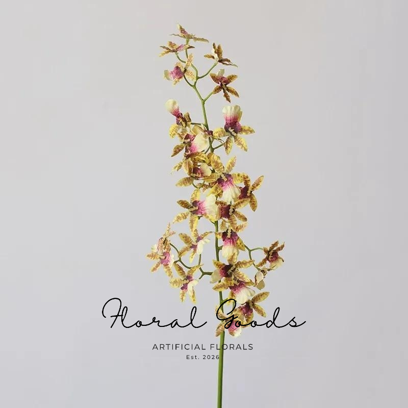 Dancing Orchid Spray Stem