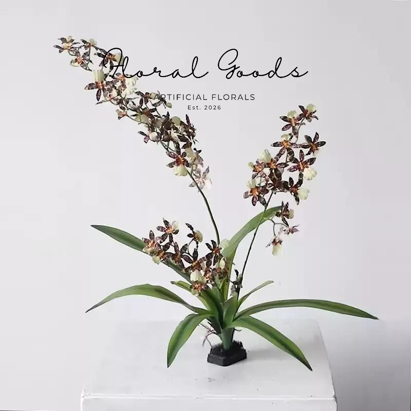 Dancing Orchid Spray Stem