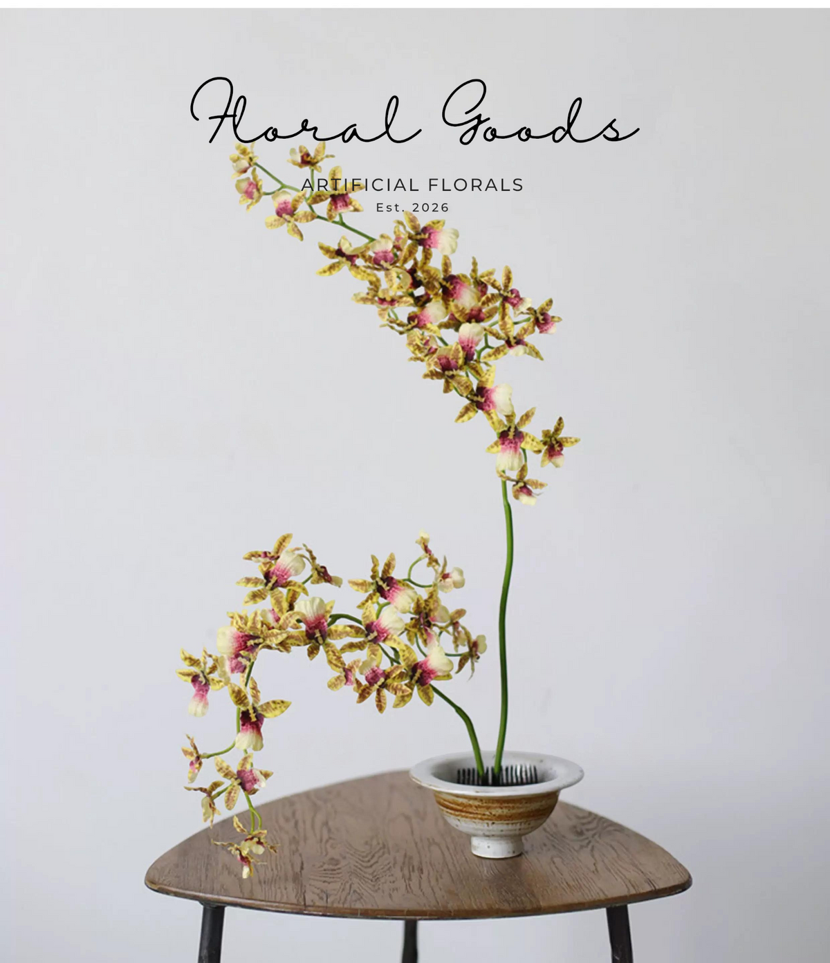 Dancing Orchid Spray Stem