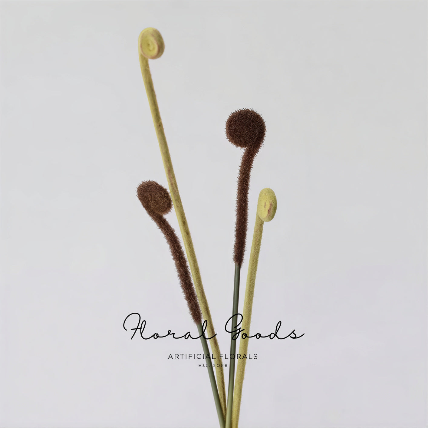 Minimal Fiddlehead Fern Stem – 17"