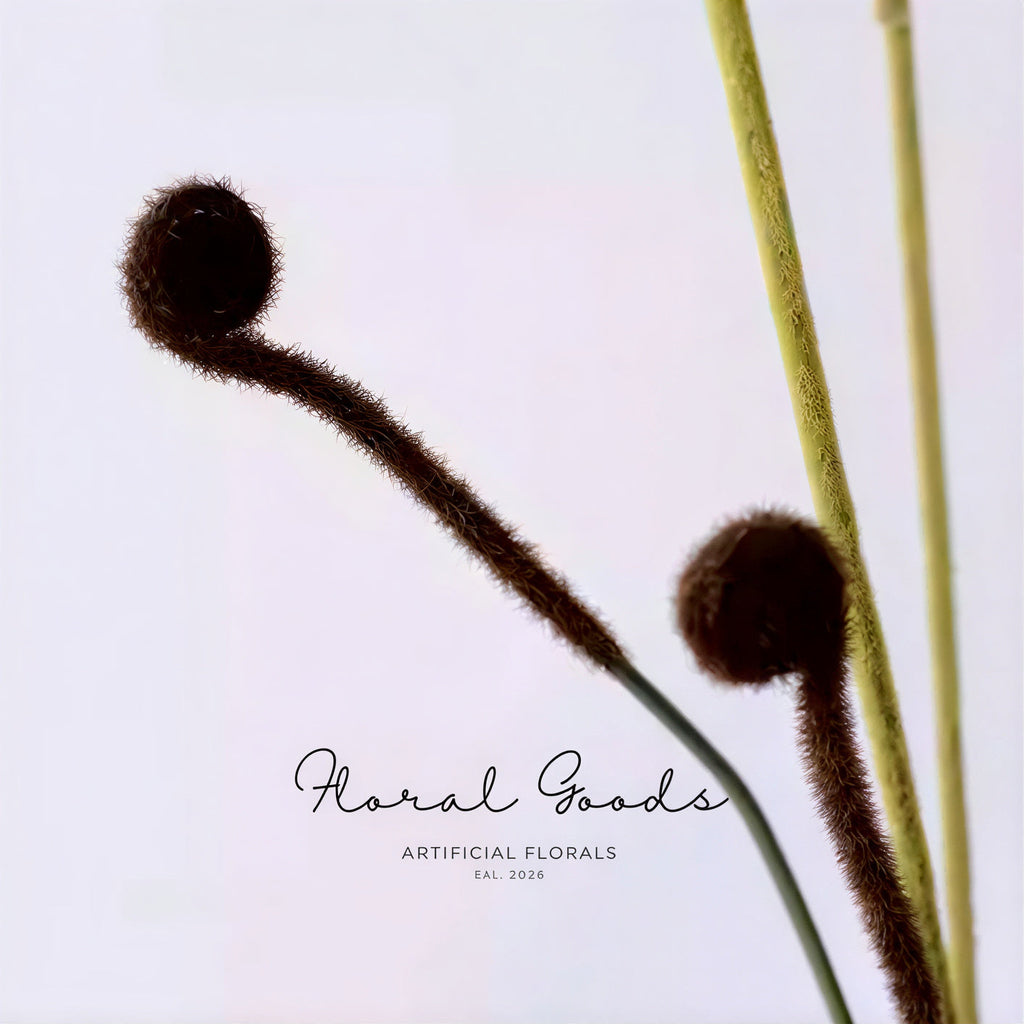 Minimal Fiddlehead Fern Stem – 17"