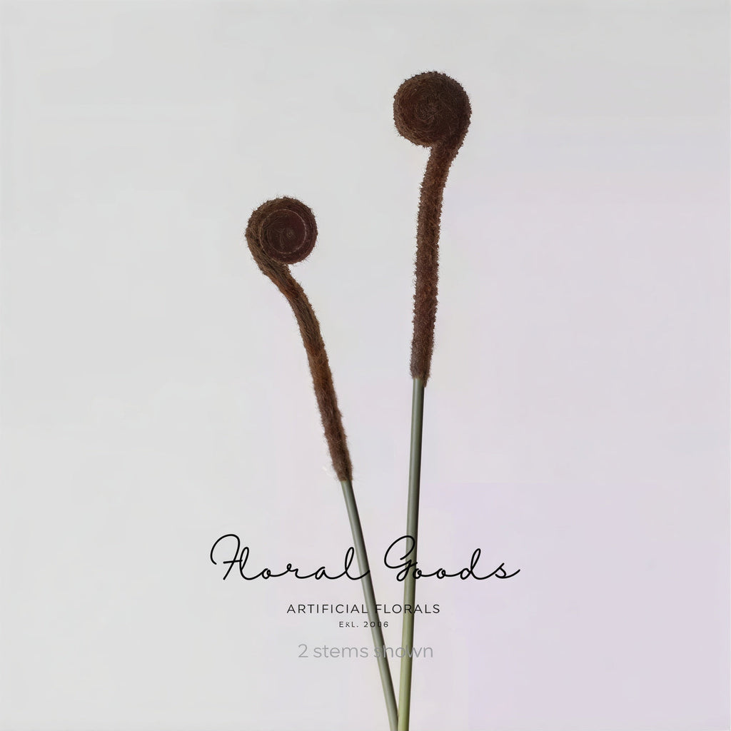 Minimal Fiddlehead Fern Stem – 17"