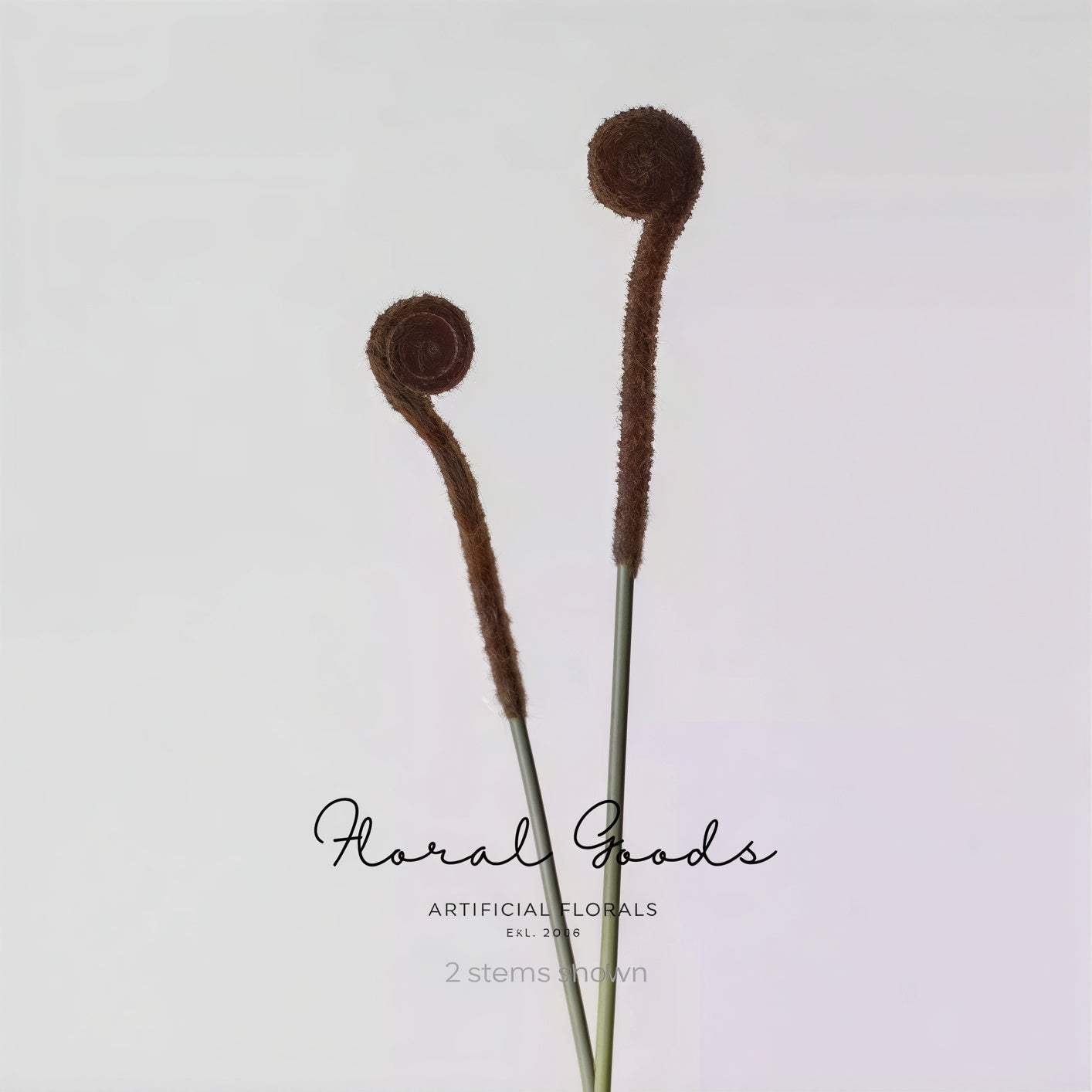 Minimal Fiddlehead Fern Stem – 17"