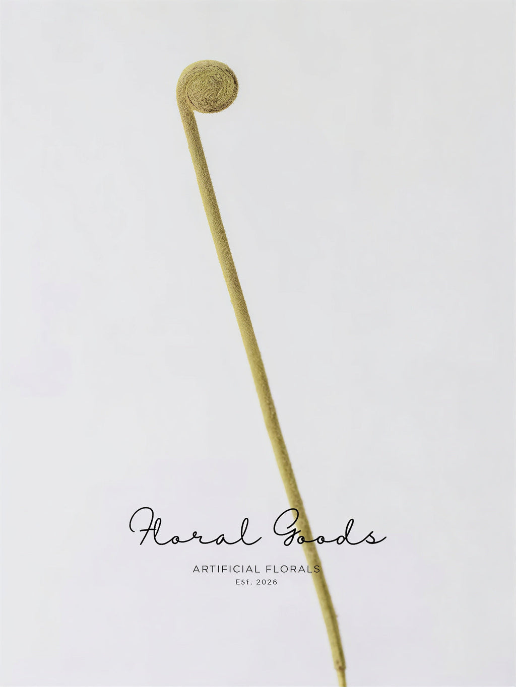 Minimal Fiddlehead Fern Stem – 17"