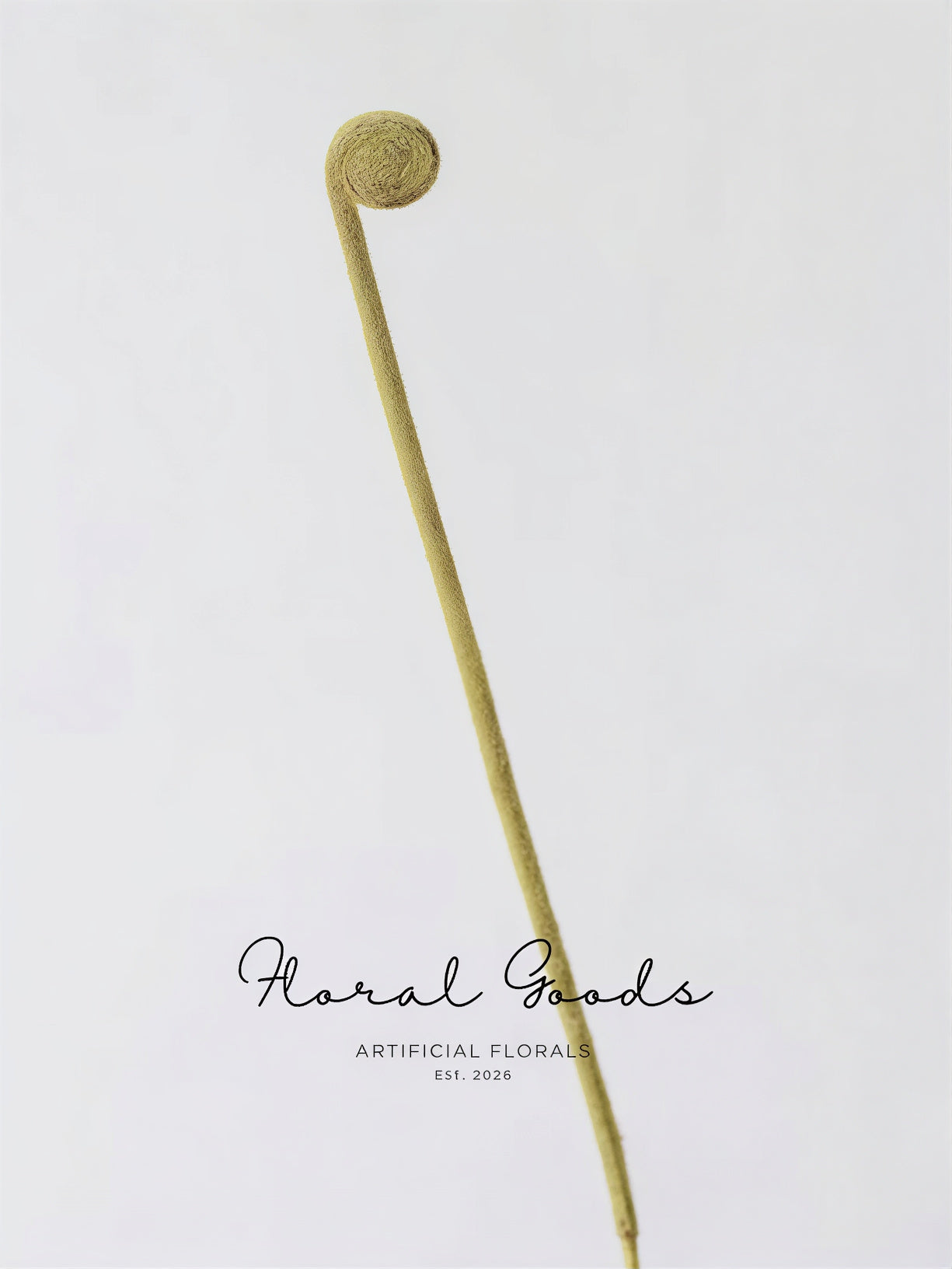 Minimal Fiddlehead Fern Stem – 17"