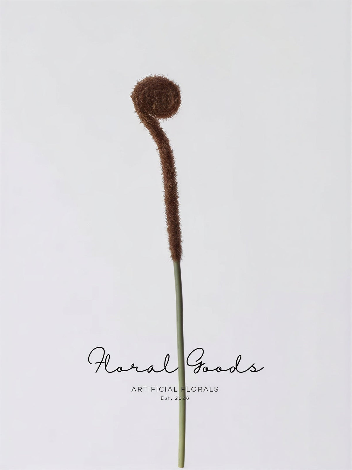 Minimal Fiddlehead Fern Stem – 17"