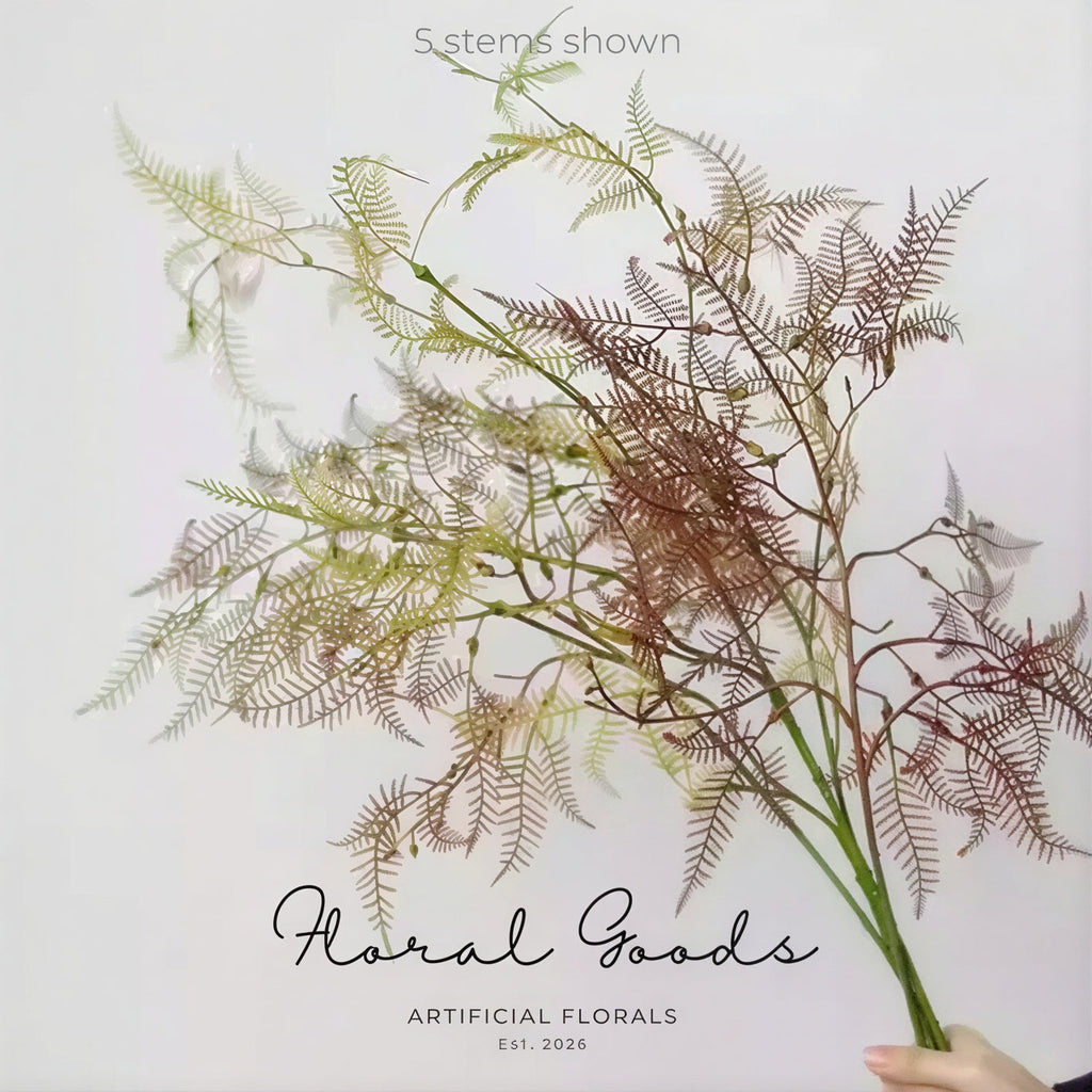 Feathery Asparagus Branch – 36"
