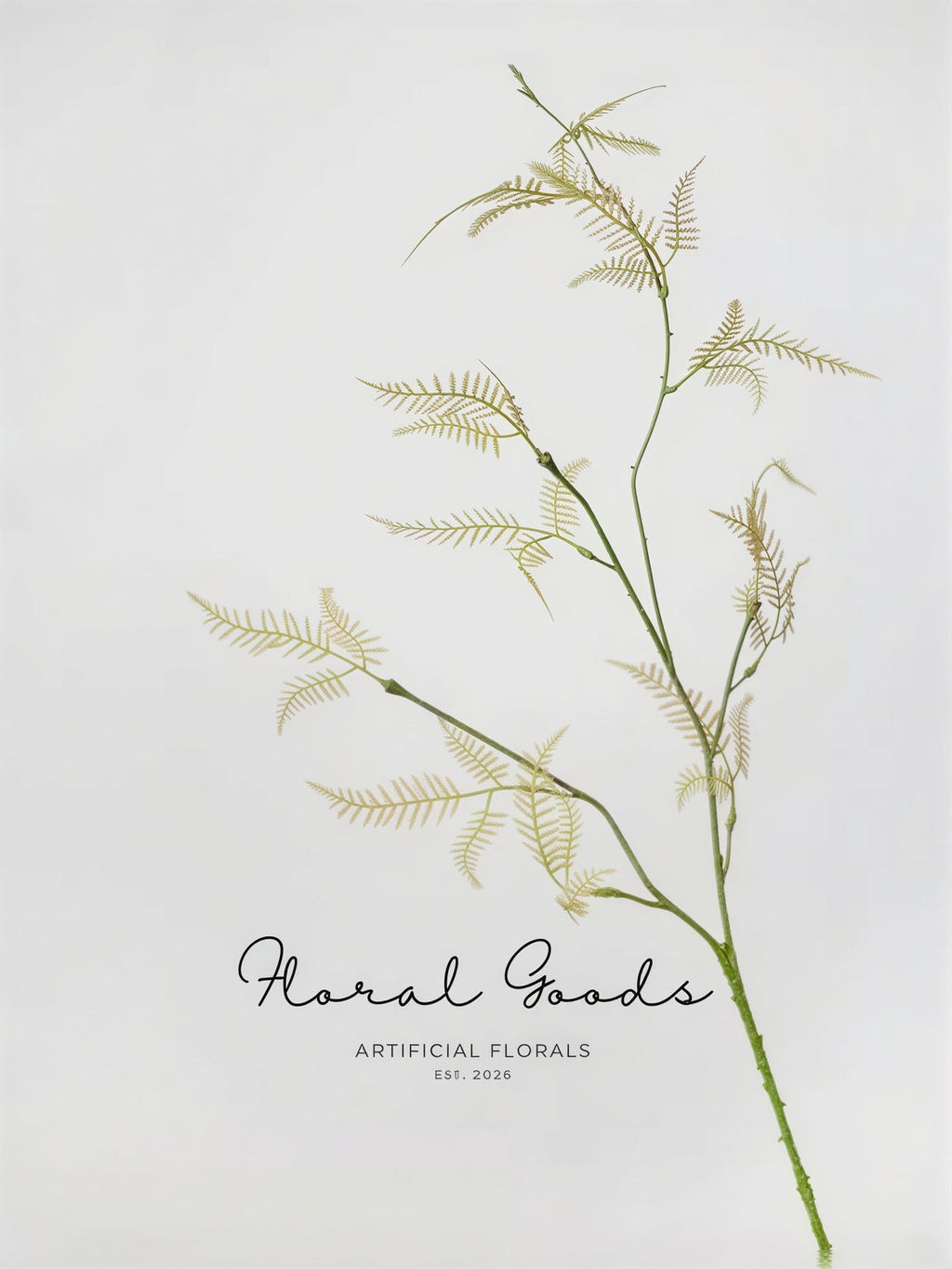 Feathery Asparagus Branch – 36"