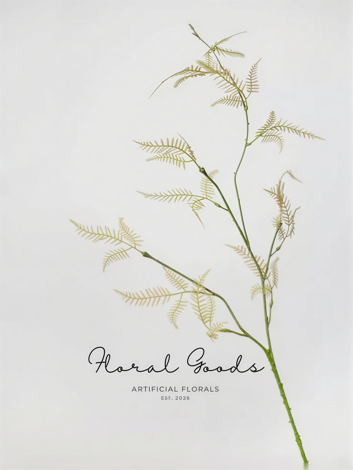 Feathery Asparagus Branch – 36"