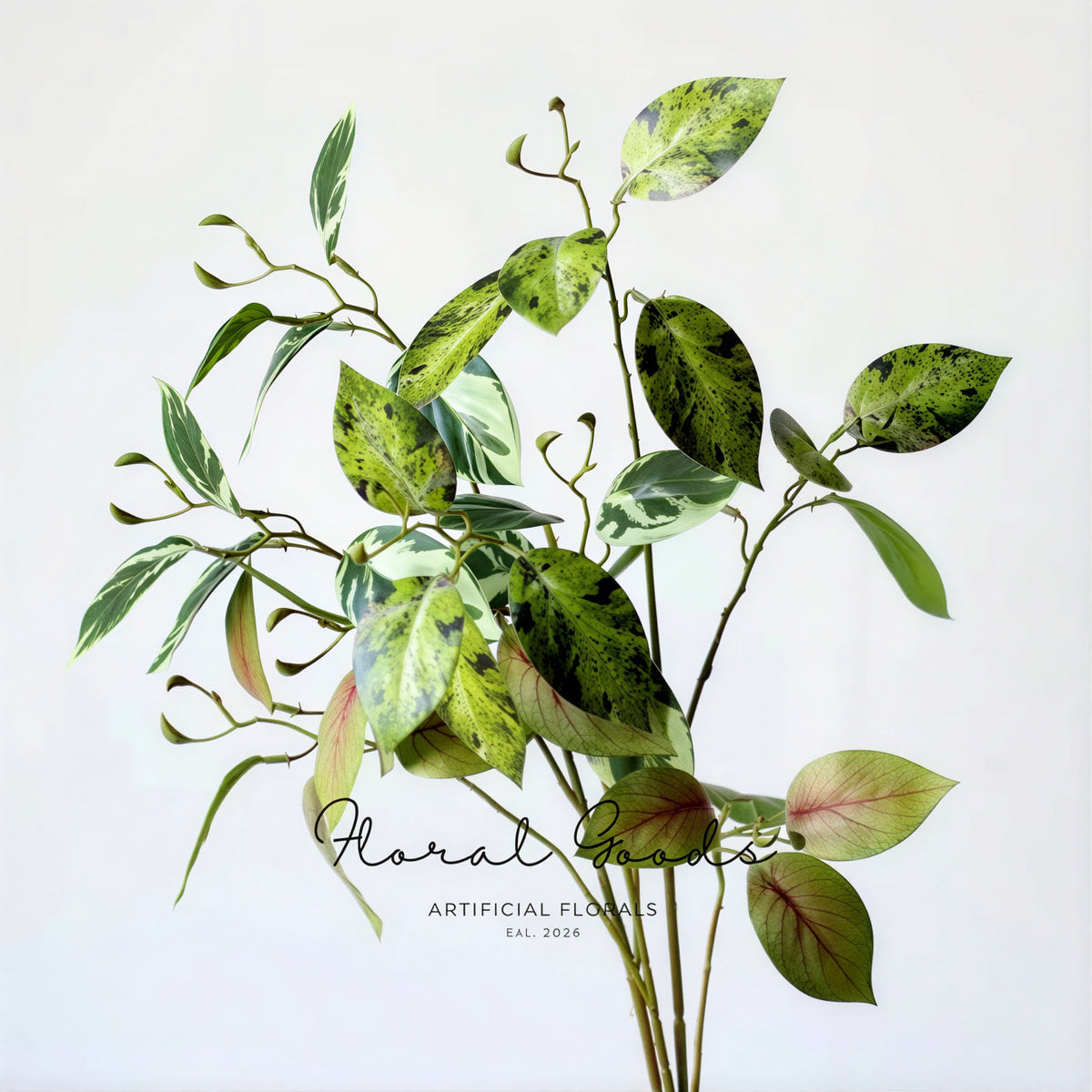Variegated Ficus Branch – 29.5"