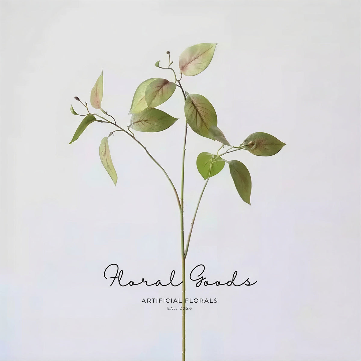 Variegated Ficus Branch – 29.5"