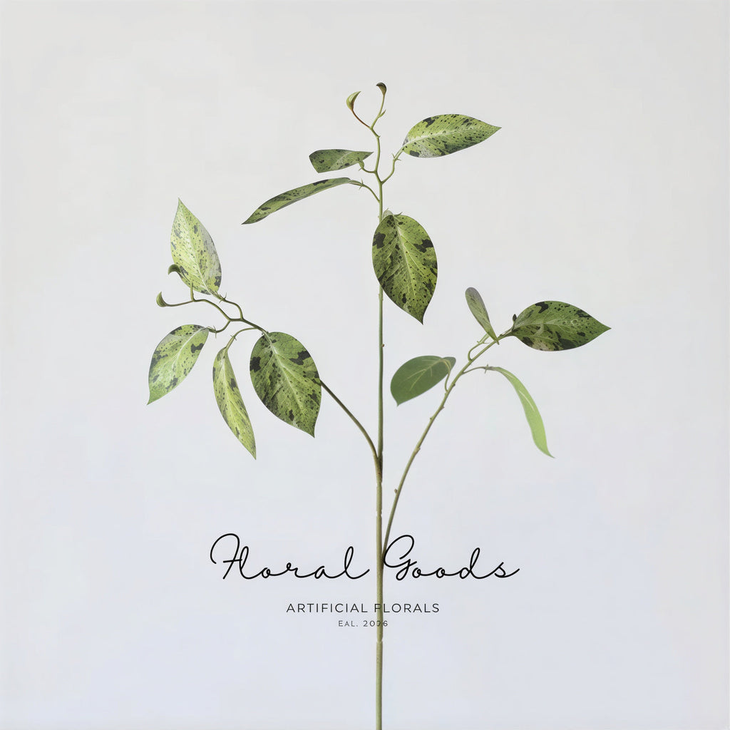 Variegated Ficus Branch – 29.5"