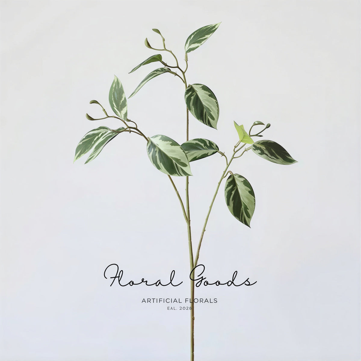 Variegated Ficus Branch – 29.5"