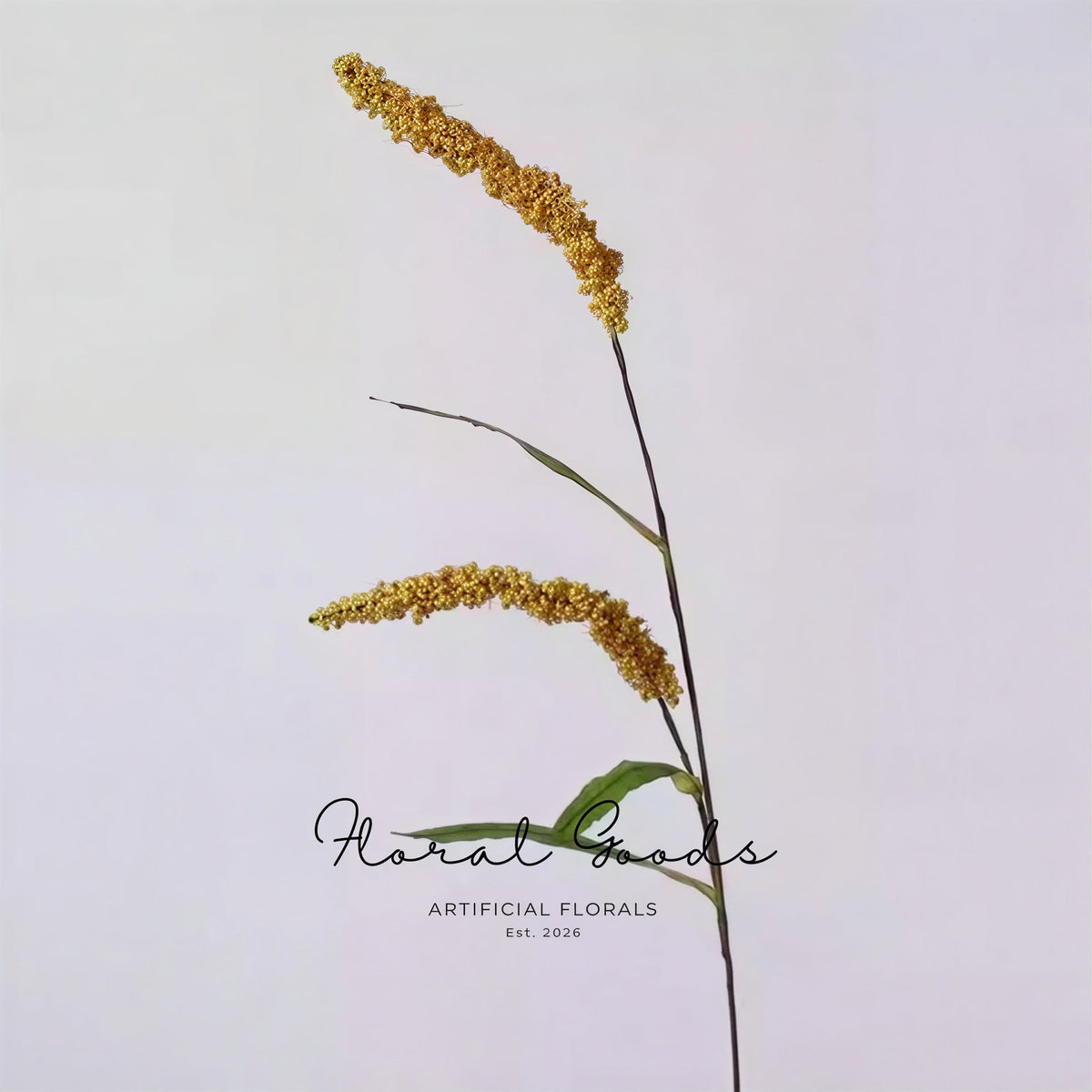 Foxtail Grass Stem – 30"