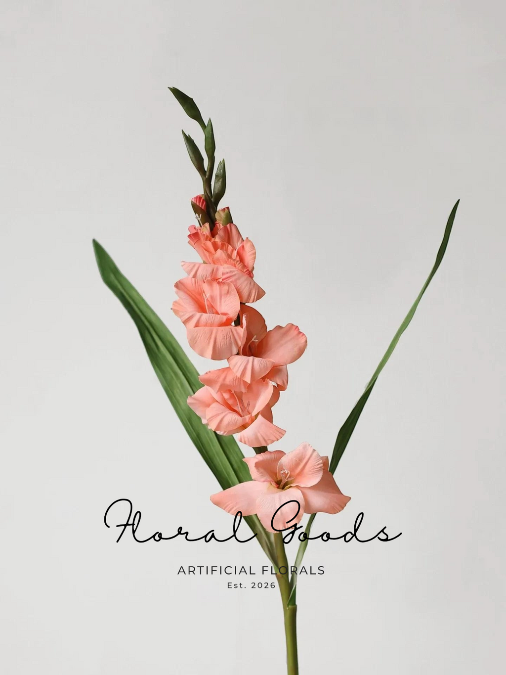 Garden Gladiolus Stem