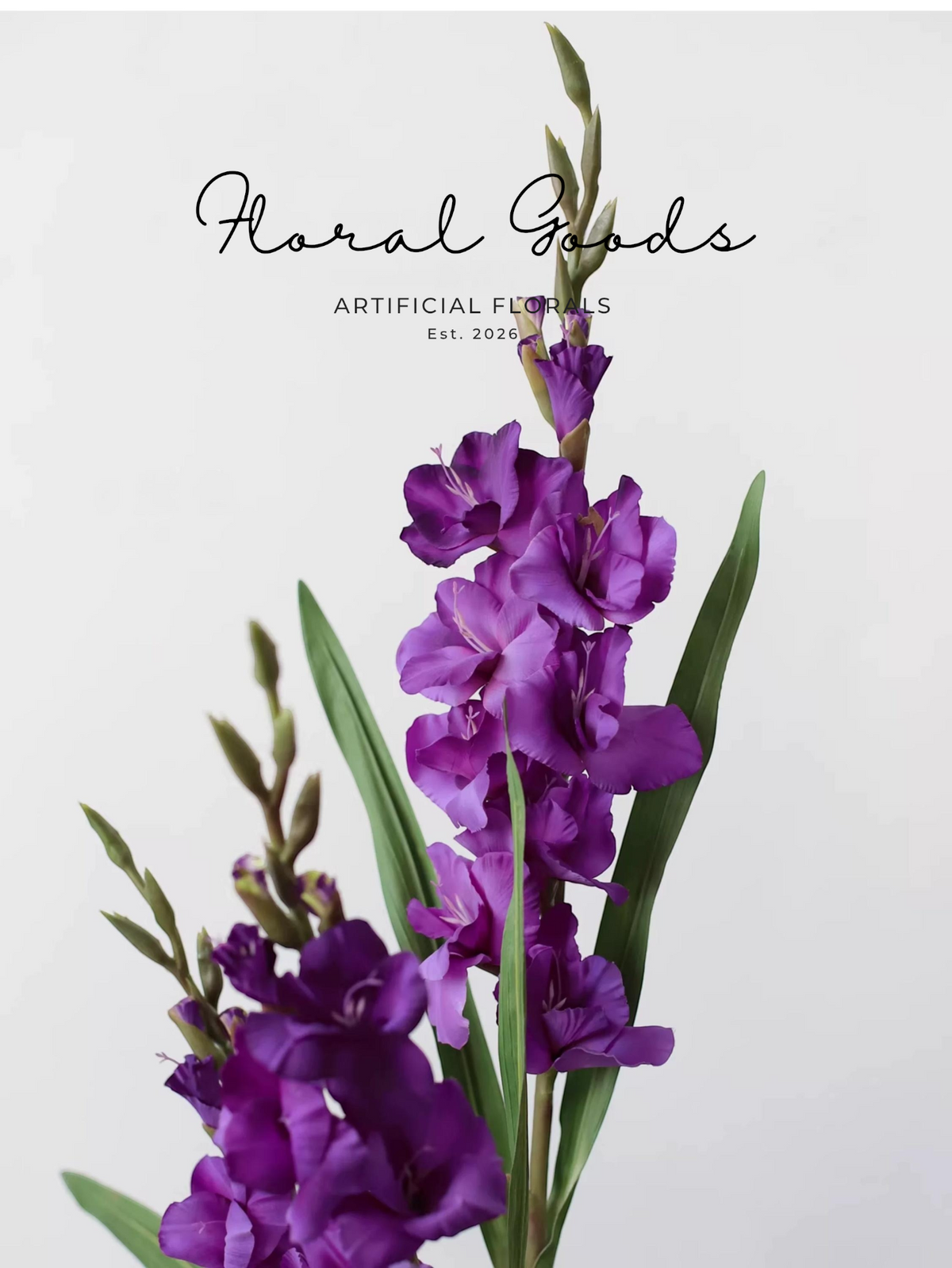 Garden Gladiolus Stem