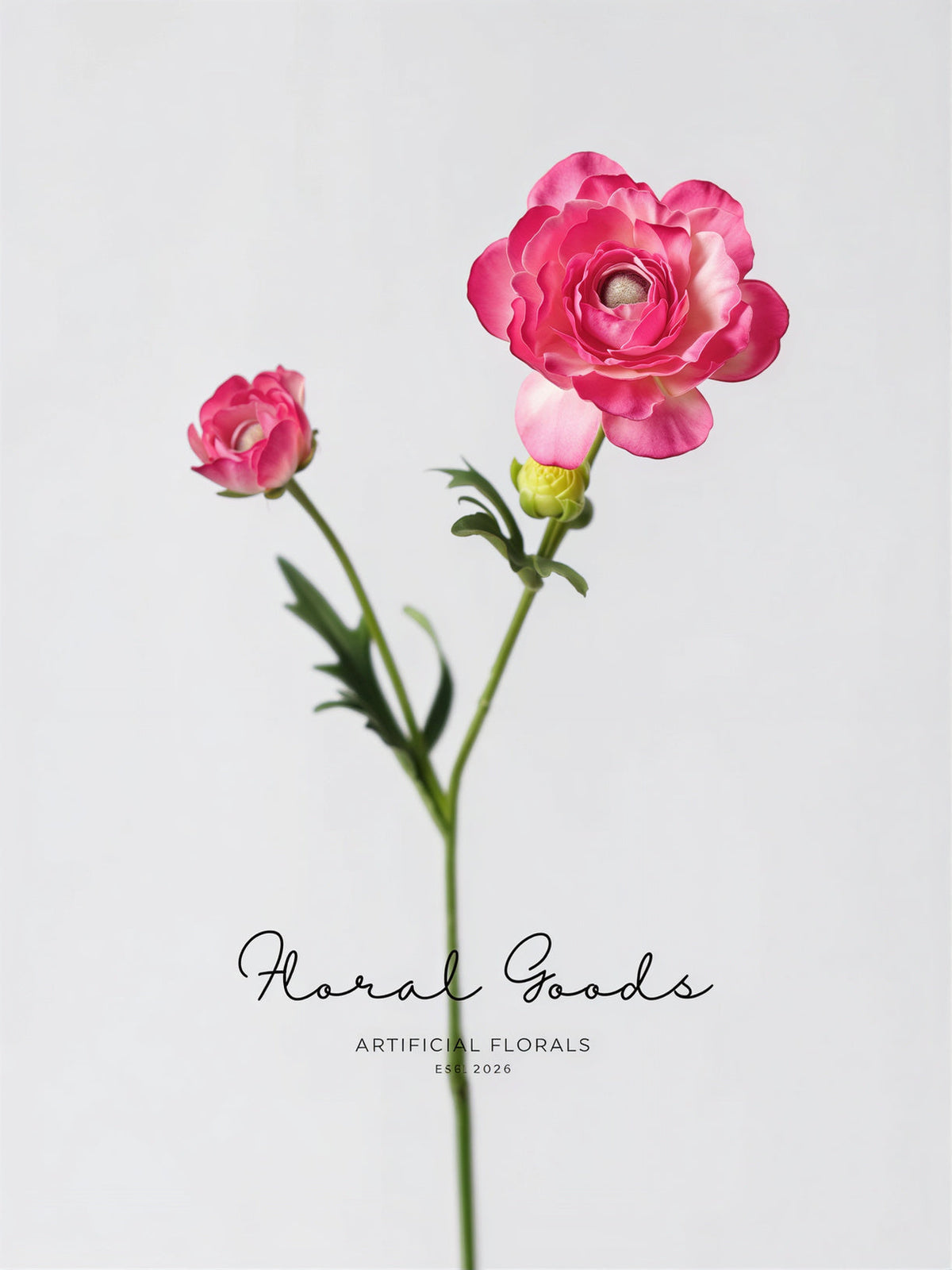 Garden Ranunculus Stem – 23.6"