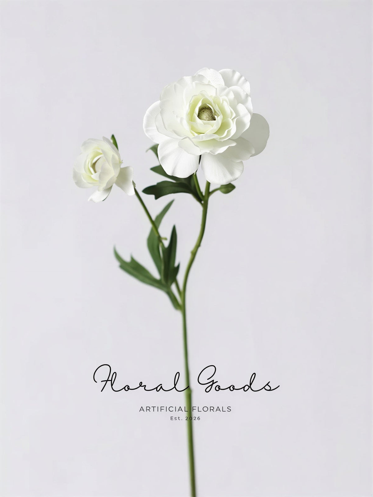Garden Ranunculus Stem – 23.6"