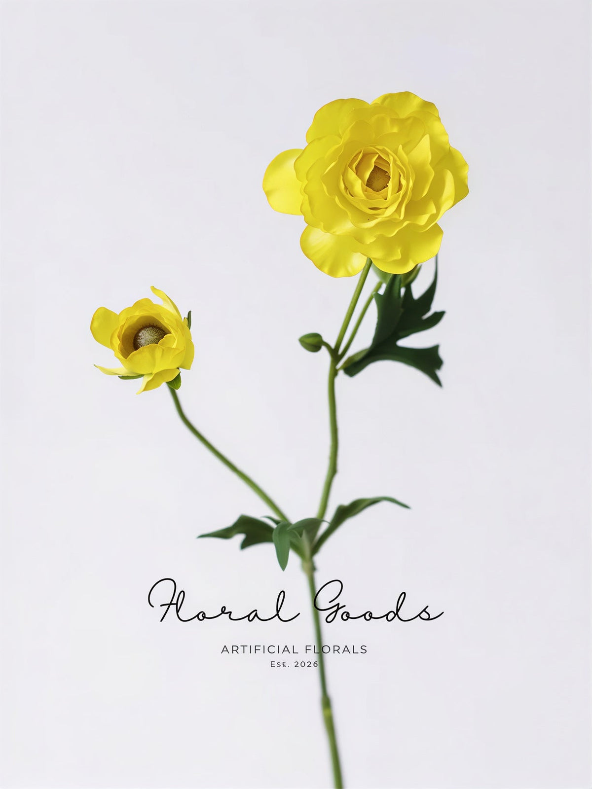 Garden Ranunculus Stem – 23.6"