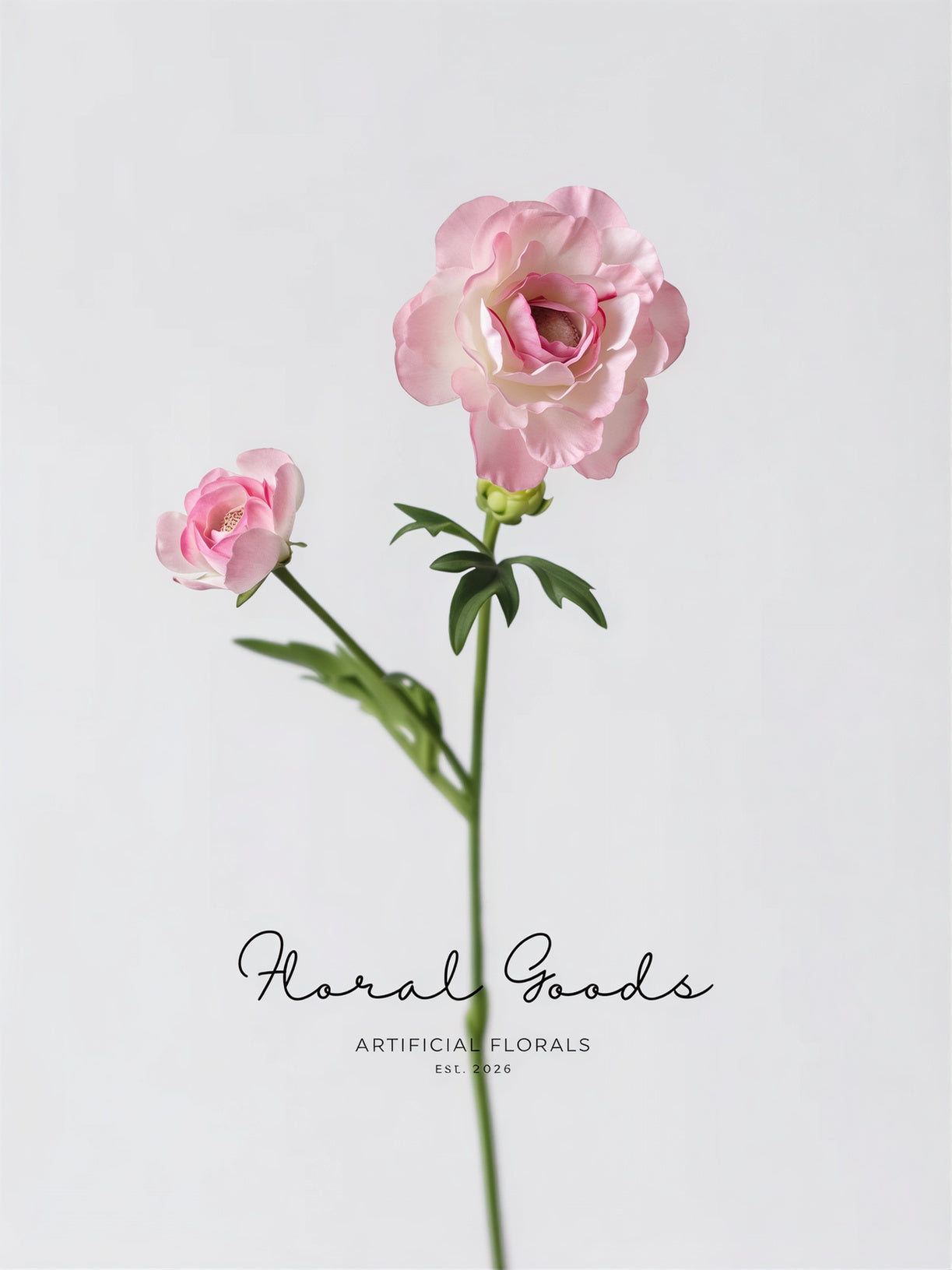 Garden Ranunculus Stem – 23.6"