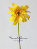 Soft Petal Gerbera Daisy Stem – 25.6"