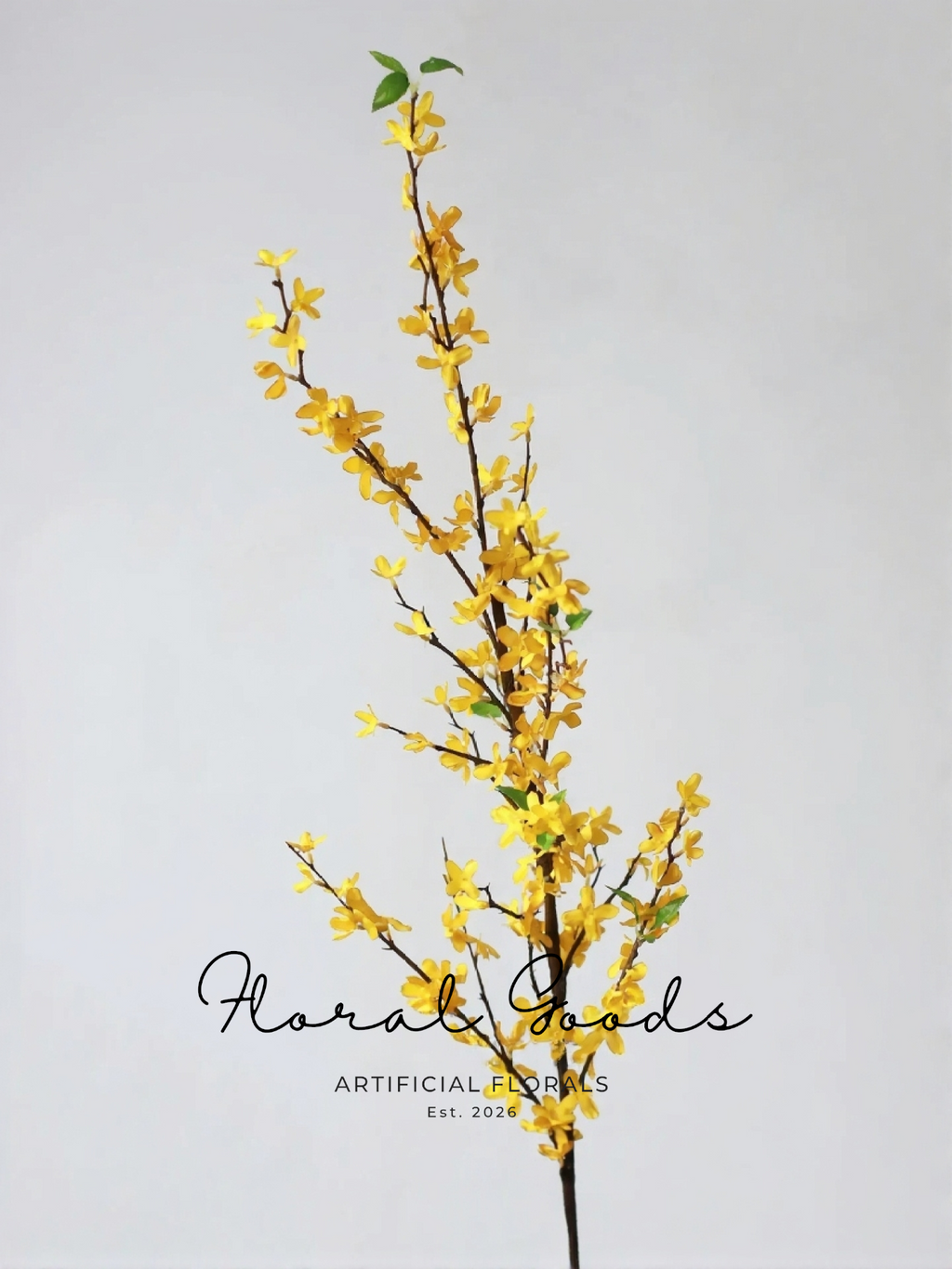 Golden Forsythia Branch – 53"
