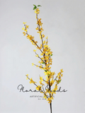 Golden Forsythia Branch – 53"