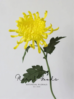 Golden Spider Mum Stem – 27.5"