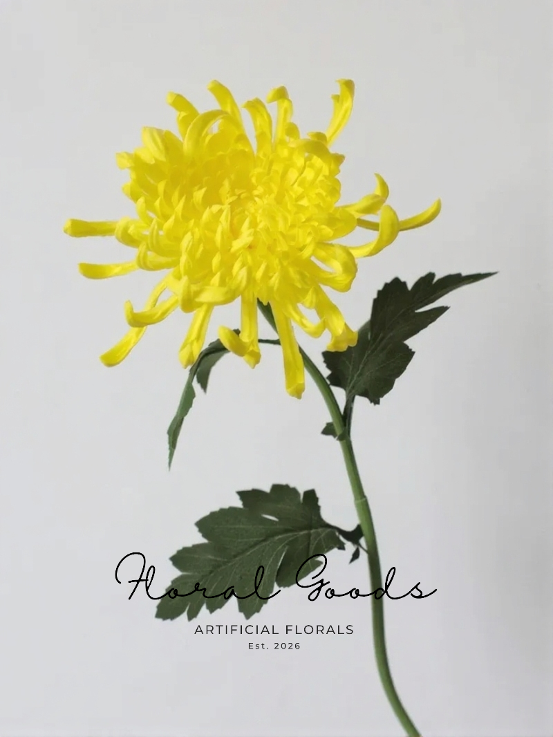 Golden Spider Mum Stem – 27.5"