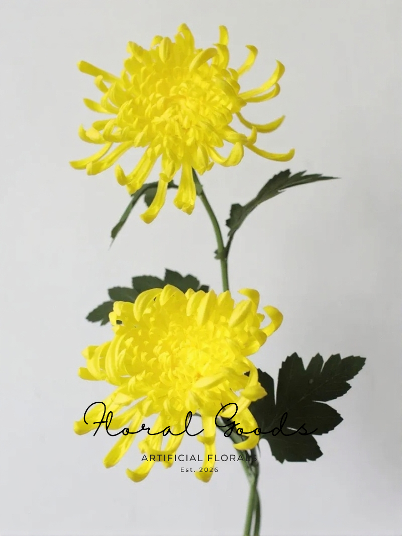 Golden Spider Mum Stem – 27.5"