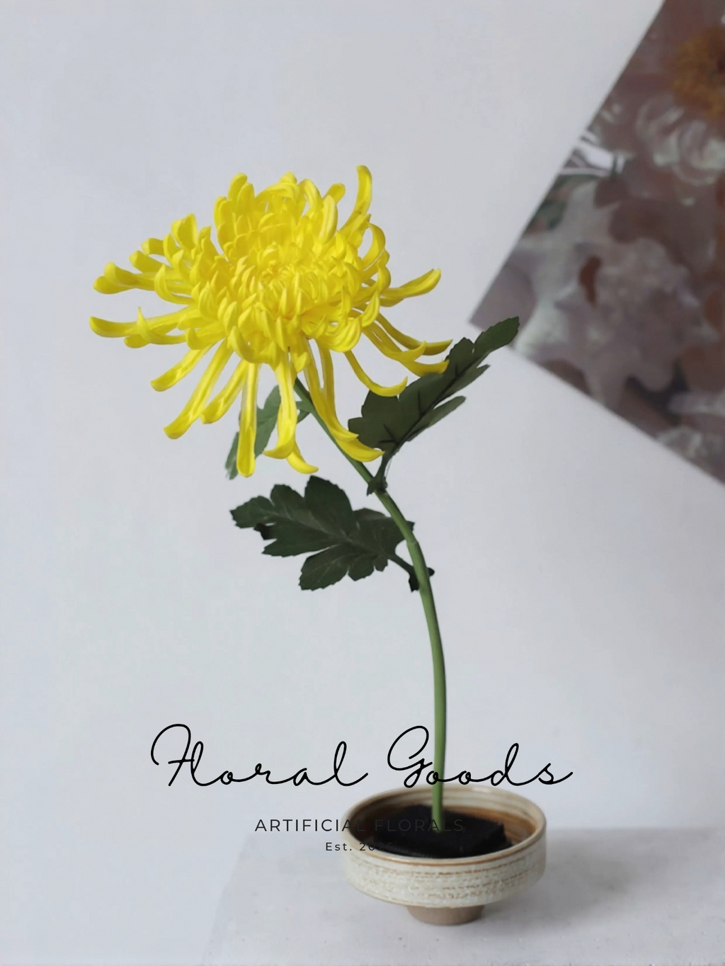 Golden Spider Mum Stem – 27.5"